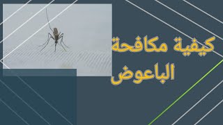 كيفية مكافحة حشرة الباعوضHow to fight mosquitoes