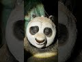 Kunfu pand🐼🐻 #shortvideo #edit #disney #trend #multfilim