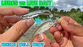 Lures VS Live Bait! Which will win?