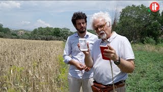 Digitali Per Caso - Mulinum Ep.5