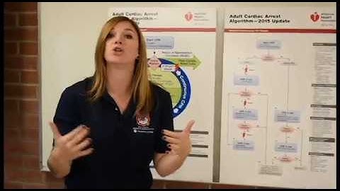 Intro to - ACLS Cardiac Arrest/ROSC Algorithm