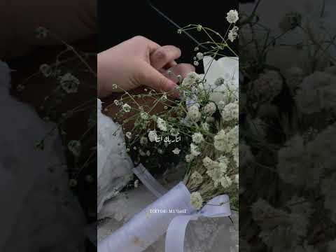 انا من غيرك بتوه توهان