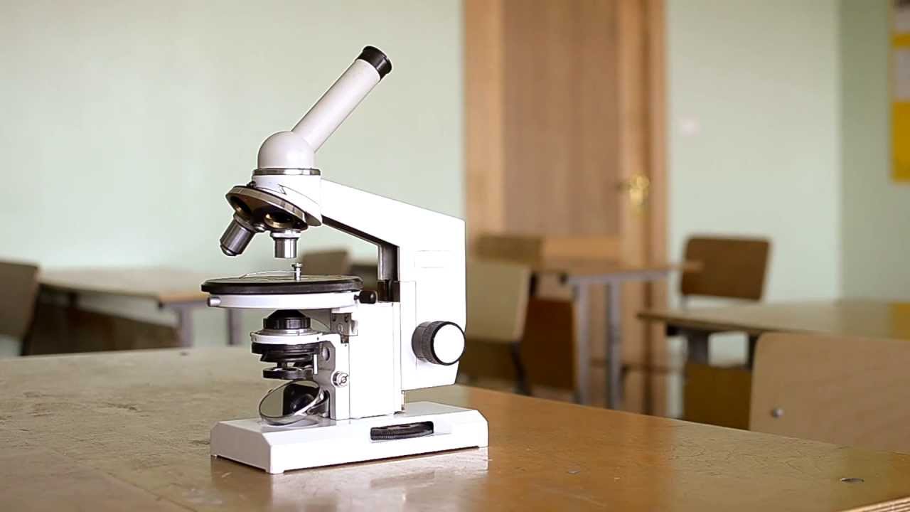 Доклад по теме Новый микроскоп
