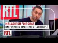 Dr jimmy mohamed  un premier traitement autoris pour la maladie du foie gras