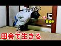 先住猫、新たな部屋へ!【移住生活145話】