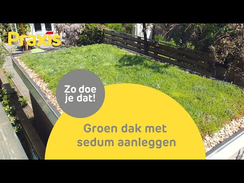 Video: Huis onder een groen dak. Groendak doe het zelf. Een foto