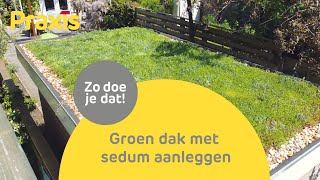 Zelf een sedumdak aanleggen | Groen dak stappenplan Praxis