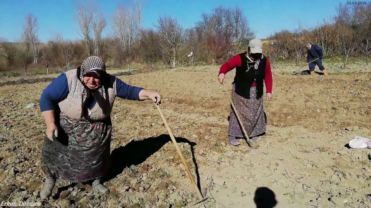 Patates biber domates ekimi son bölüm