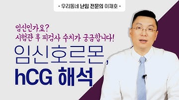 임신인가요? 시험관 후 피검사 수치가 궁금합니다