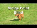 Single point blind