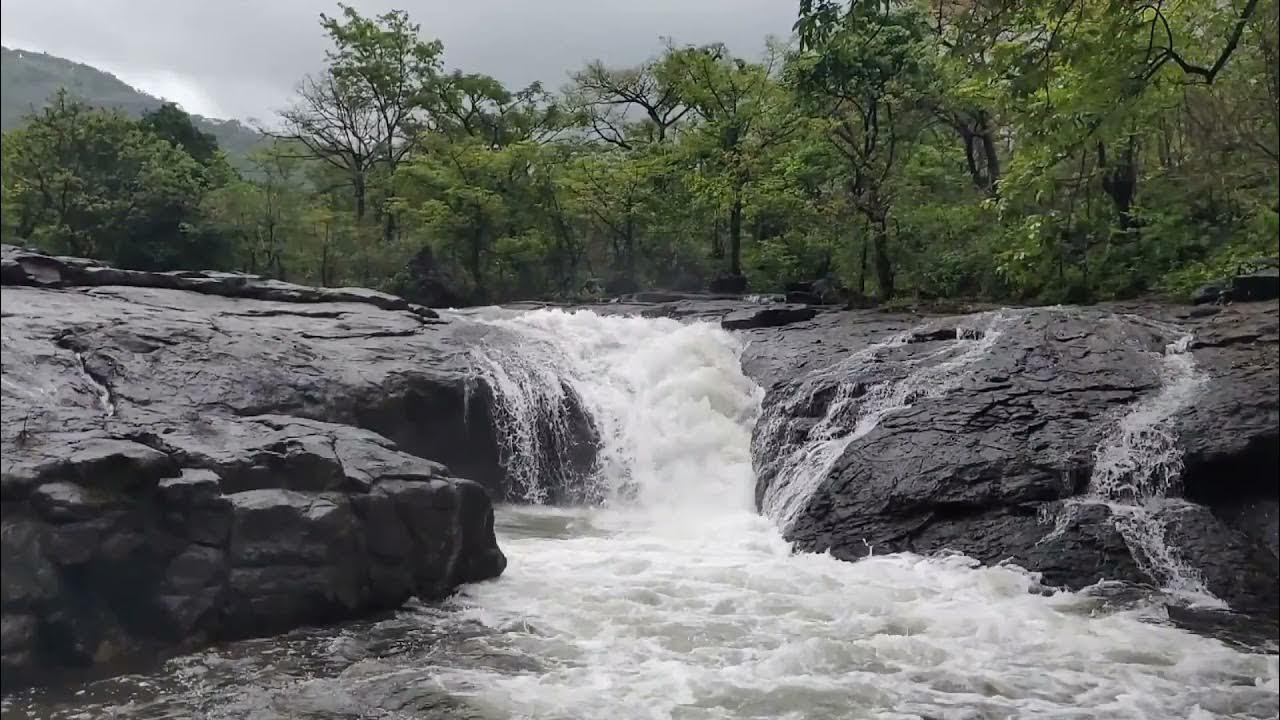 Ютуб ривер. Река мрассу сплав. Ecosystem natural. Ютуб ривер. Реки ютуба.
