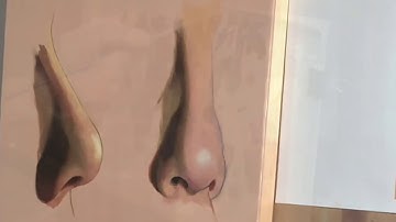 Nose Painting Demo (part 2)