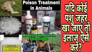 यदि कोई पशु जहर(Poison)खा जाए तो इलाज ऐसे करें?Poison Treatment in Animals