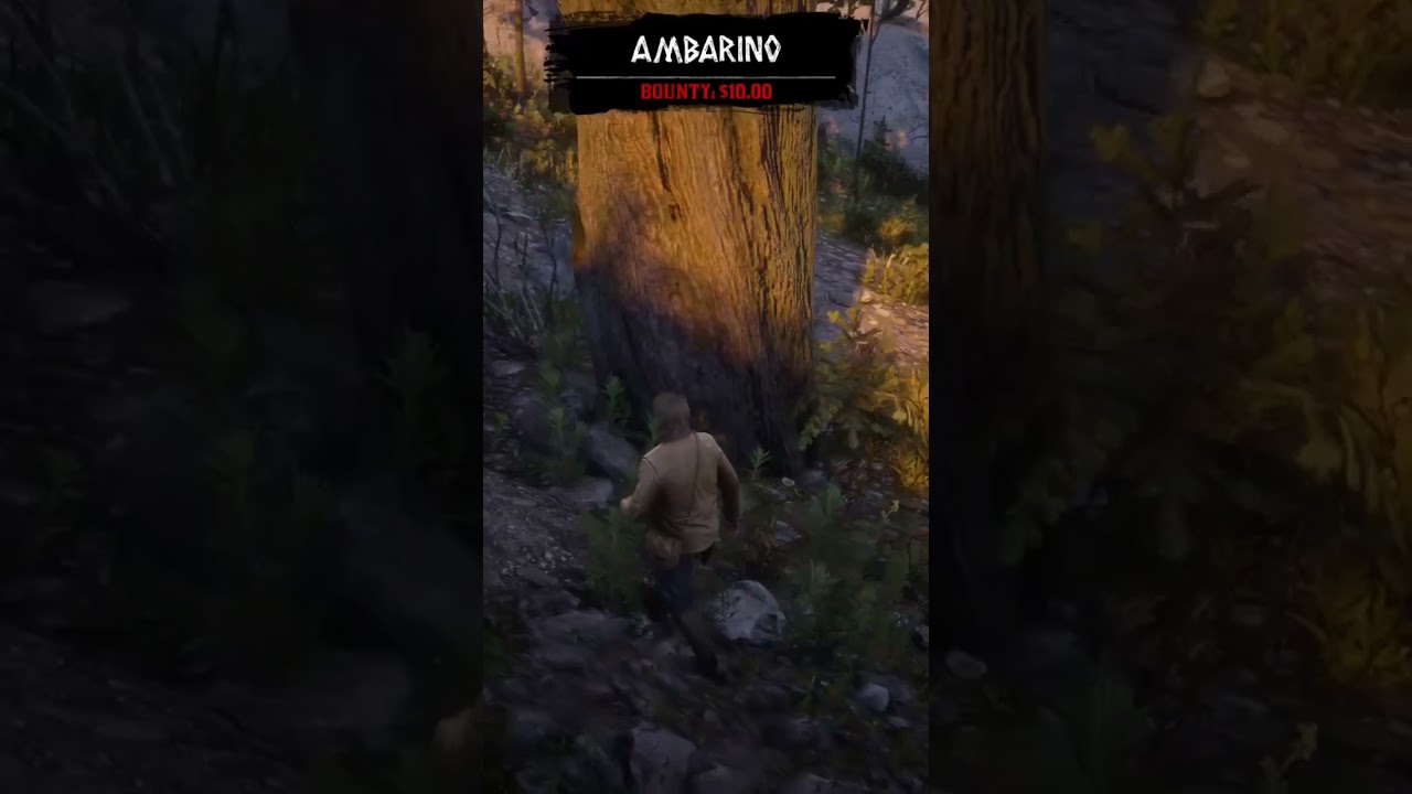 Red Dead Redemption 2 Chick's Treasure Map 