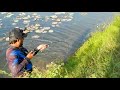 ठंडी के मौसम में भी मरल की इतनी अटैक || Amazing Snakehead Fishing