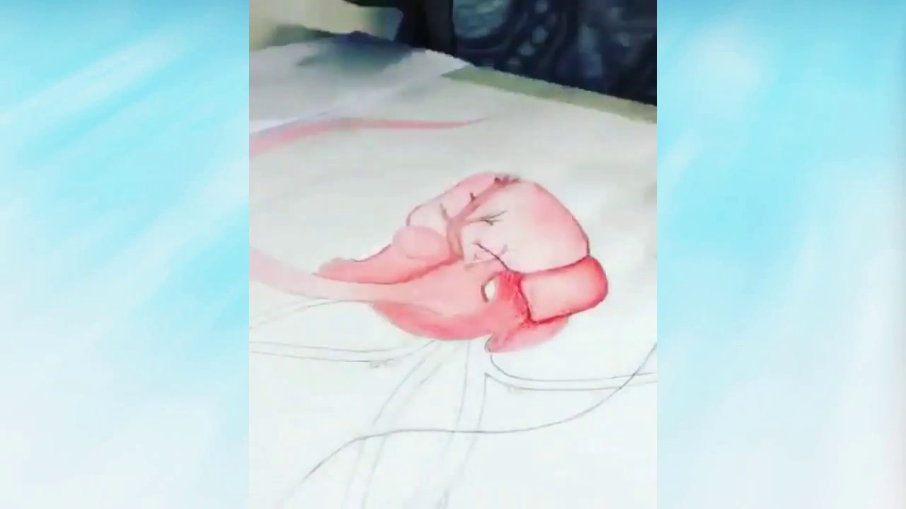 Drawing a Heart - YouTube