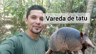 Varedas de tatu e muito vestígio de cotia