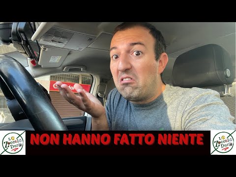 Video: Zoccolo, Ciotola, Tetto