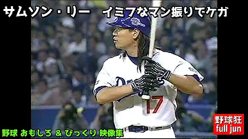 プロ野球面白い映像