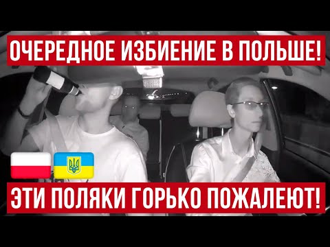 Эти поляки ГОРЬКО пожалеют! В Польше украинец вез поляков в такси и вот что получилось