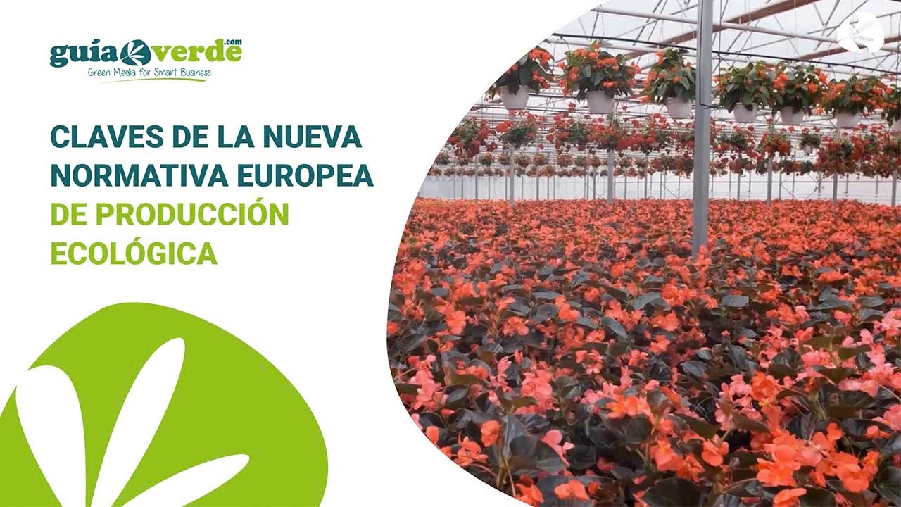 Informativo GuíaVerde - Claves de la nueva normativa sobre producción ecológica