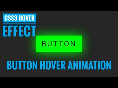 Button Hover Animation || CSS Hover Effect || Code Ground - YouTube