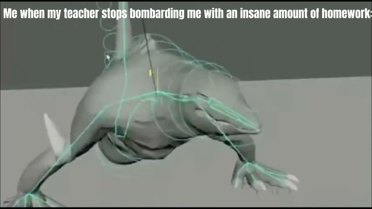 Me when my teacher stops bombarding me with an insane amount of