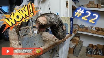 Mole Kills 21 thru 24 Wire Tek Mole Eliminator Fast & Easy disposal