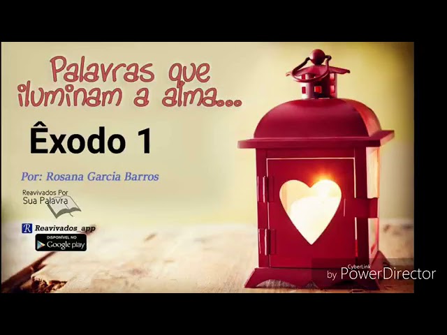 Êxodo 1 - Rosana