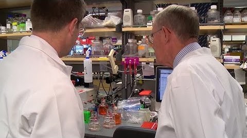 Scientists desperately searching for Ebola cure