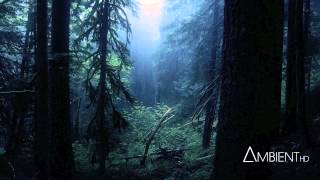 Carbon Based Lifeforms - Interloper (Full Album)