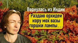 Просветлела в Индии и избавляюсь от орхидей!😜