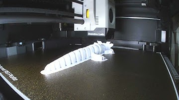 3d Print Time Laps - Articulating Axolotl