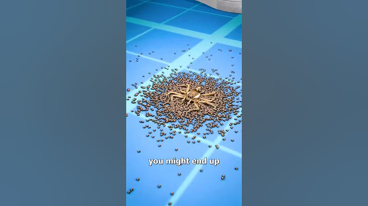 Why you shouldn't stomp on🕷️😱 spider let #animation #trending #sortvideo #mp4#youtoobeshorts