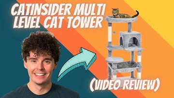 Catinsider 46.5 inches Cat Tree Multi-Level Cat Tower (Review)