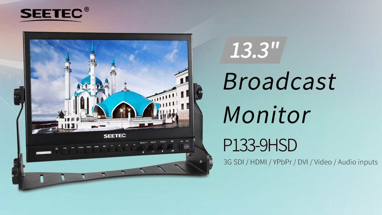 SEETEC P133-9HSD 13.3