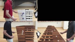 Celebrity Steve Reich - Mallet Quartet Excerpt - Lucas Sanchez Wealth