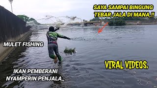 JALA IKAN DI SUNGAI PECAH REKOR