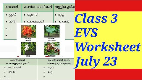 Class 3 EVS Worksheet /Victers worksheet class 3/@dishuzworld9905
