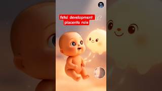 #ytshorts placenta vs baby explained, placenta function in pregnancy, how baby gets nutrients in..