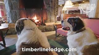 Stay the night at Timberline Lodge on Mt. Hood, Oregon