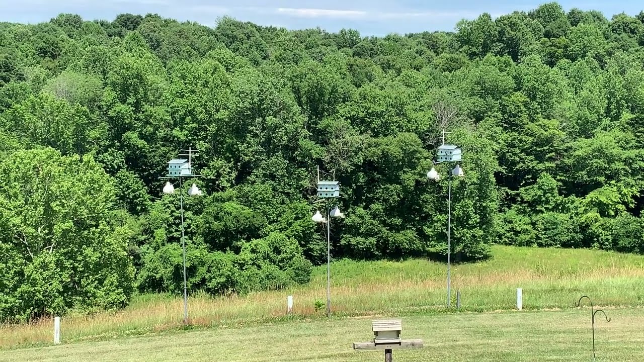 R4724 - 824 Old Sano Rd., Russell Springs, KY 42642