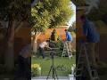 Wire Frame Se Lord Shiva Topiary 🌿 | Satisfying Garden Transformation 😱 | DIY Landscaping Art