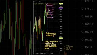 AUDCAD Setting Up For SELL??!#money #trader #forex #fx #currency #currencytrading #fibonacci #audcad