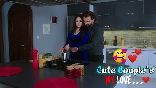 Best Couple Love Status Heart Touching Torkesh Capule Best Couple Whatsapp Status Video