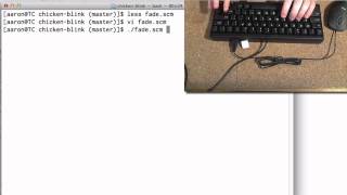 Chicken Scheme + blink(1)