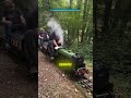 This Mini Railway Is PURE Joy 😂 #shorts #trending #viral
