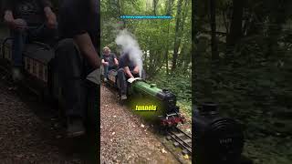 This Mini Railway Is PURE Joy 😂 #shorts #trending #viral