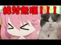 美大卒業するまでの話 仕事編 【猫ミーム】#猫meme #猫マニ #猫ミーム