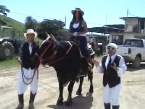 Toro Capitan Diana Mendez